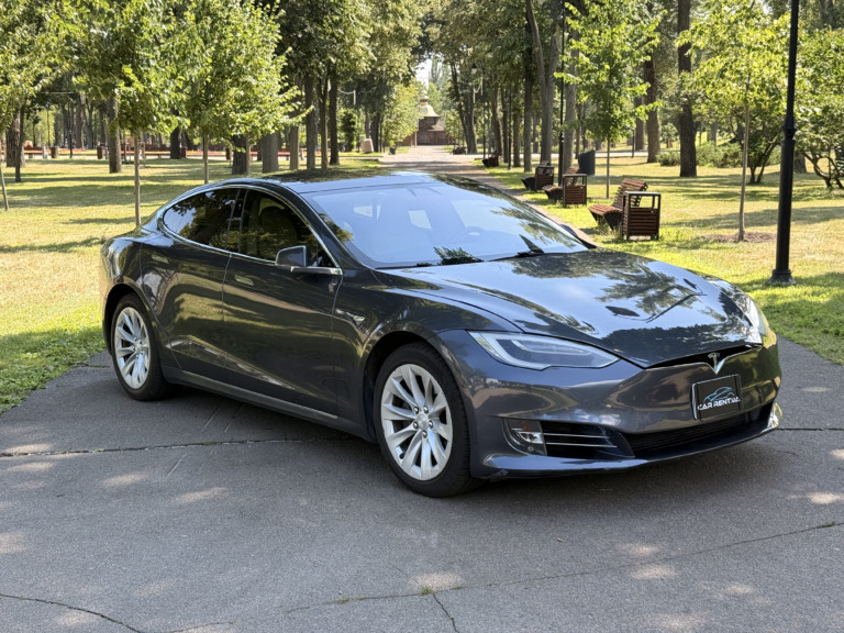 Tesla Model S car rental with delivery