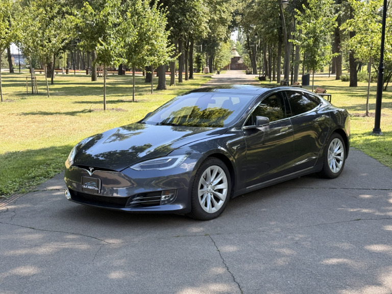 Tesla Model S car for rent